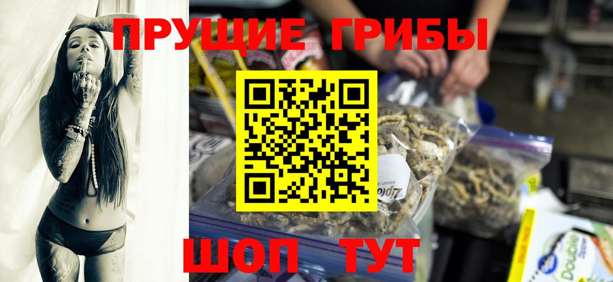 Галлюциногенные грибы Cubensis Обнинск