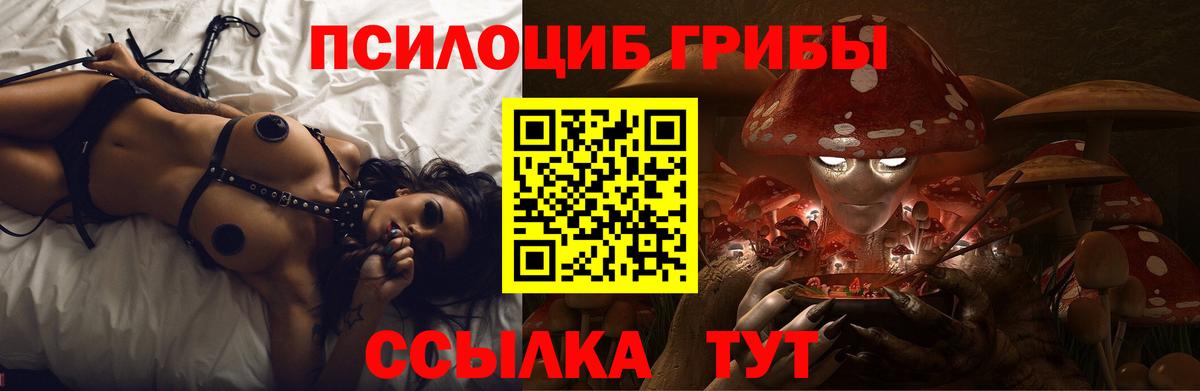 Галлюциногенные грибы Cubensis  Галлюциногенные грибы ЛСД  Вход с VPN  Обнинск 